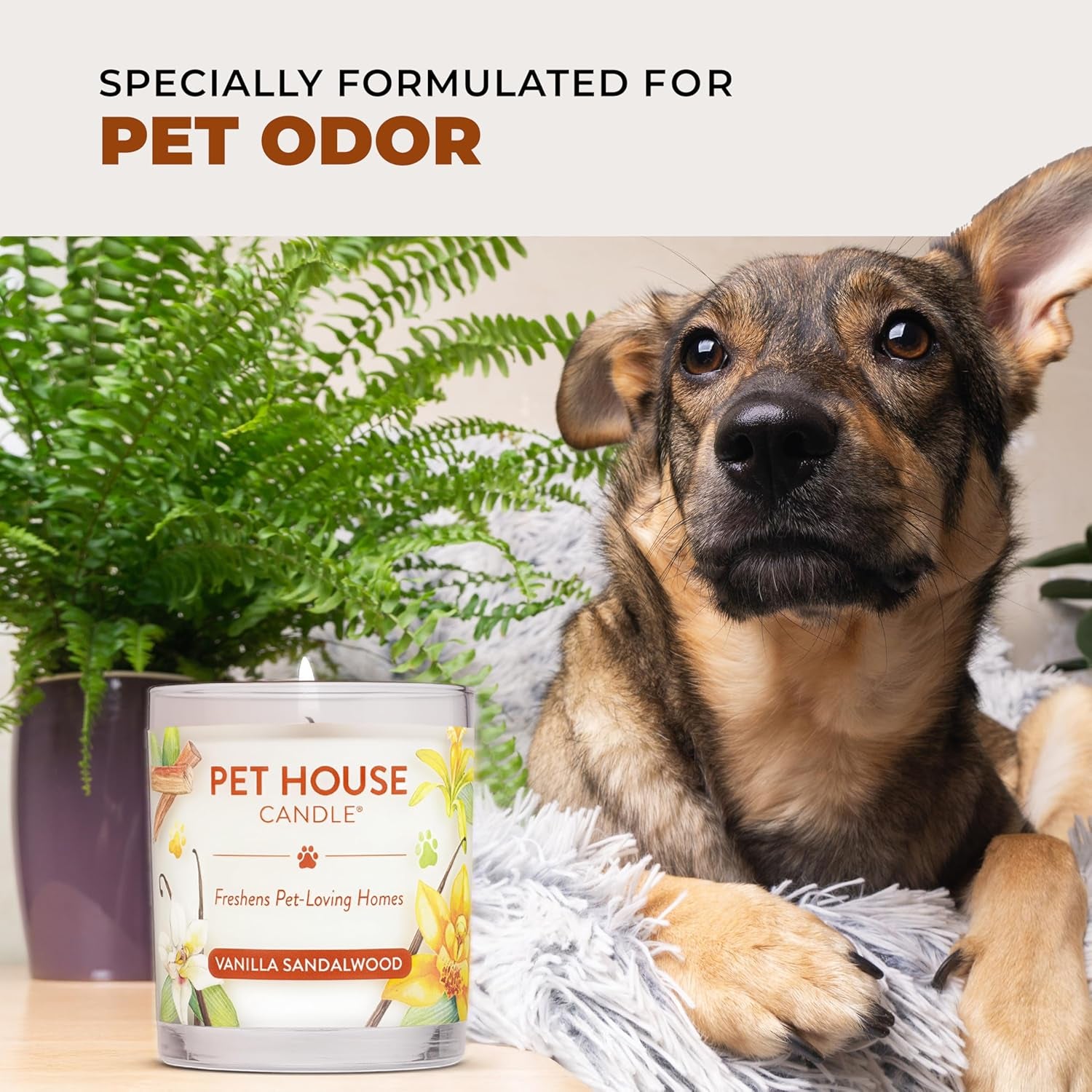 - 100% Natural Soy Wax Candle - Pet Odor Eliminator, up to 60 Hours Burn Time, Non-Toxic, Eco-Friendly Reusable Glass Jar Scented Candles – Pumpkin Spice - Pack of 2